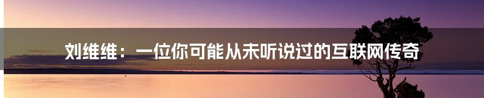 刘维维：一位你可能从未听说过的互联网传奇