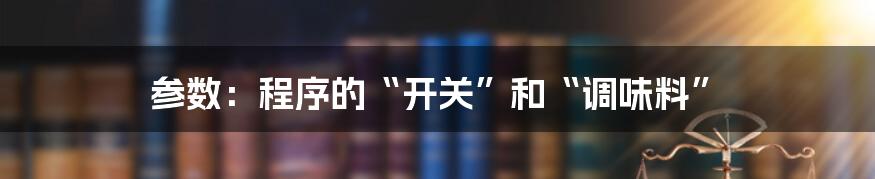 参数：程序的“开关”和“调味料”