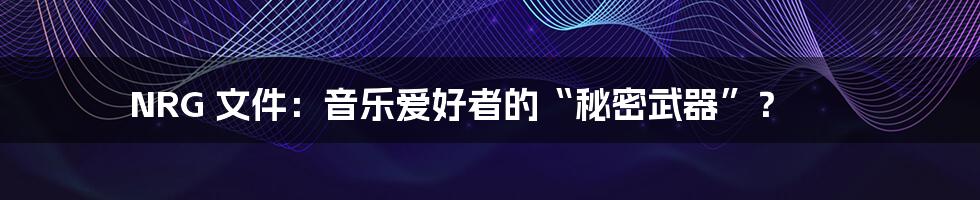 NRG 文件：音乐爱好者的“秘密武器”？