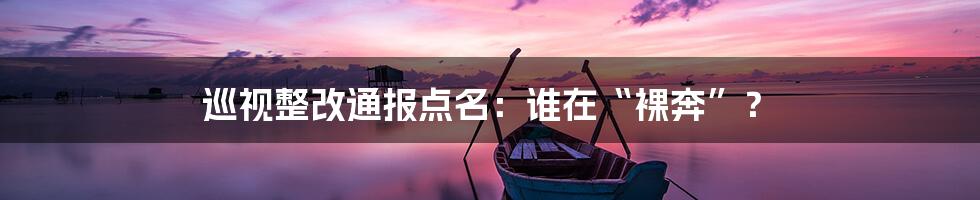 巡视整改通报点名：谁在“裸奔”？