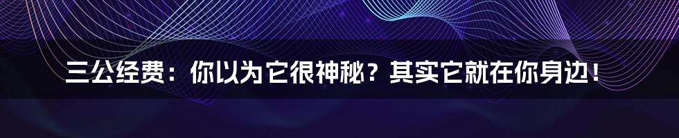 三公经费：你以为它很神秘？其实它就在你身边！