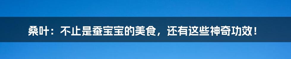 桑叶：不止是蚕宝宝的美食，还有这些神奇功效！