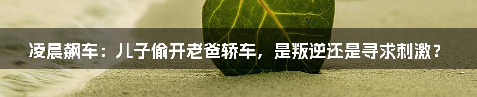 凌晨飙车：儿子偷开老爸轿车，是叛逆还是寻求刺激？