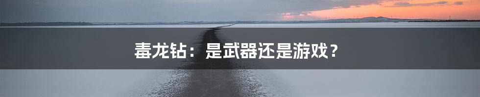 毒龙钻：是武器还是游戏？