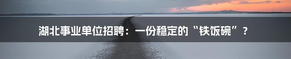 湖北事业单位招聘：一份稳定的“铁饭碗”？