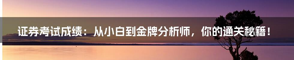 证券考试成绩：从小白到金牌分析师，你的通关秘籍！