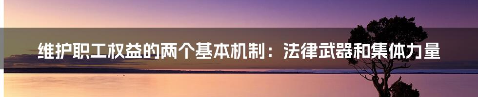 维护职工权益的两个基本机制：法律武器和集体力量