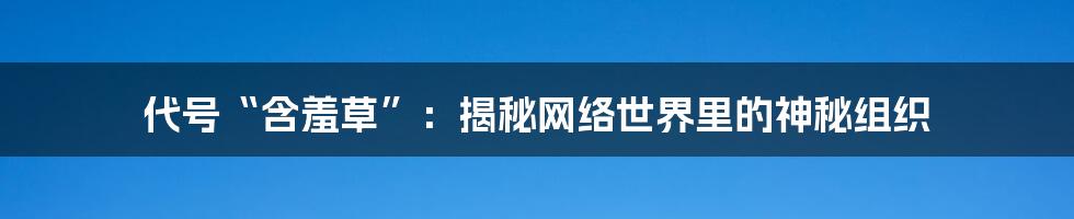 代号“含羞草”：揭秘网络世界里的神秘组织