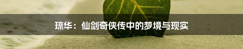 琼华：仙剑奇侠传中的梦境与现实