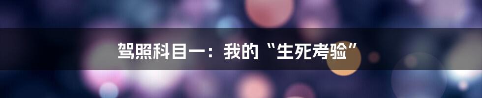 驾照科目一：我的“生死考验”