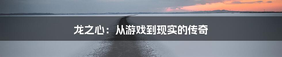 龙之心：从游戏到现实的传奇