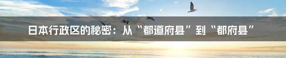 日本行政区的秘密：从“都道府县”到“都府县”