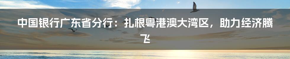 中国银行广东省分行：扎根粤港澳大湾区，助力经济腾飞