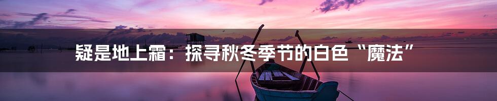 疑是地上霜：探寻秋冬季节的白色“魔法”