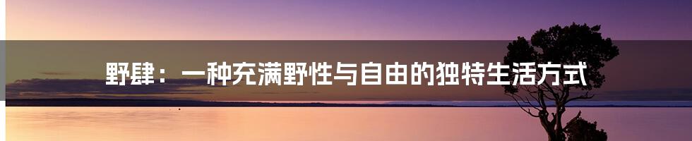 野肆：一种充满野性与自由的独特生活方式