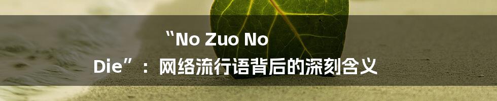 “No Zuo No Die”：网络流行语背后的深刻含义