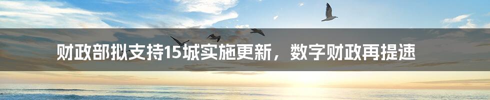 财政部拟支持15城实施更新，数字财政再提速