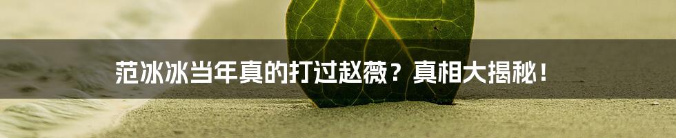 范冰冰当年真的打过赵薇？真相大揭秘！