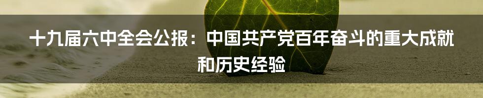 十九届六中全会公报：中国共产党百年奋斗的重大成就和历史经验