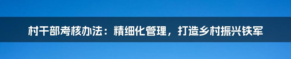 村干部考核办法：精细化管理，打造乡村振兴铁军