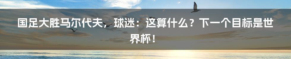 国足大胜马尔代夫，球迷：这算什么？下一个目标是世界杯！