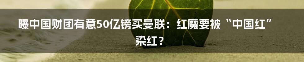 曝中国财团有意50亿镑买曼联：红魔要被“中国红”染红？