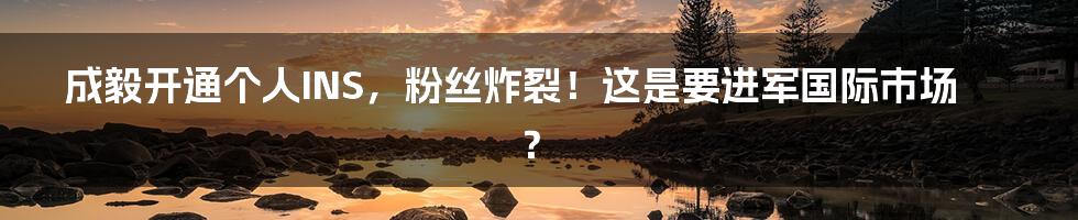 成毅开通个人INS，粉丝炸裂！这是要进军国际市场？