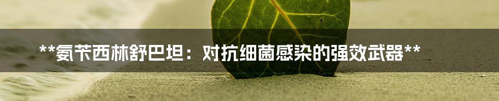 **氨苄西林舒巴坦：对抗细菌感染的强效武器**