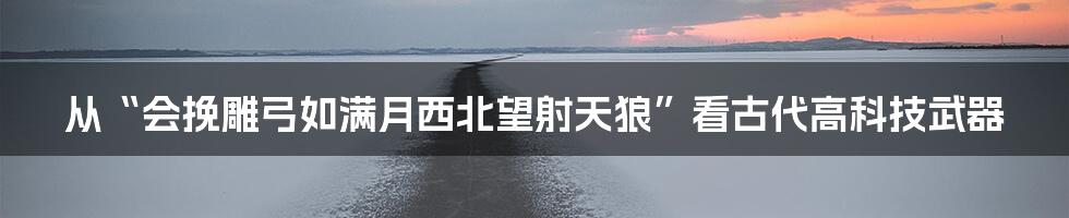 从“会挽雕弓如满月西北望射天狼”看古代高科技武器