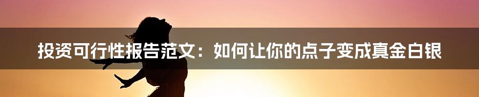 投资可行性报告范文：如何让你的点子变成真金白银