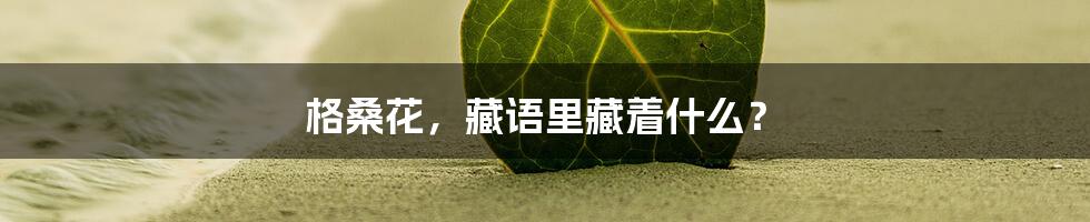 格桑花，藏语里藏着什么？