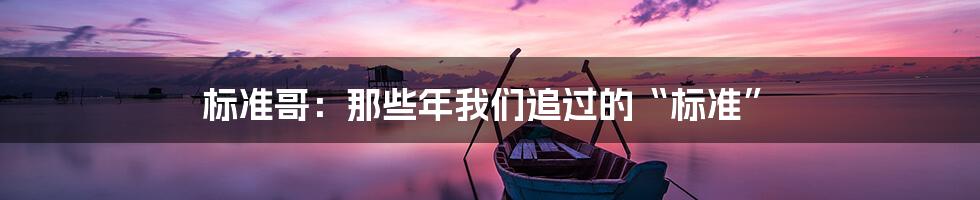 标准哥：那些年我们追过的“标准”