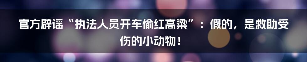 官方辟谣“执法人员开车偷红高粱”：假的，是救助受伤的小动物！