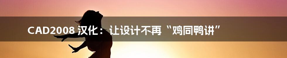 CAD2008 汉化：让设计不再“鸡同鸭讲”