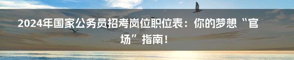 2024年国家公务员招考岗位职位表：你的梦想“官场”指南！