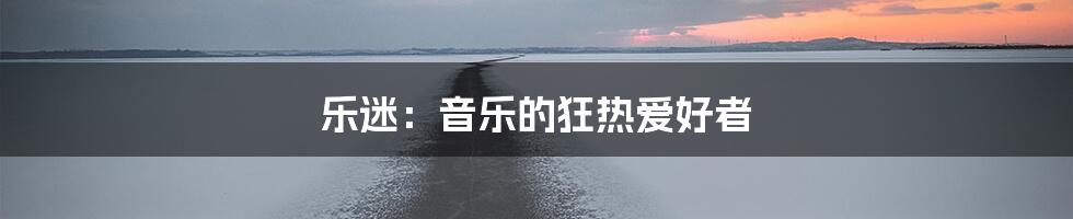 乐迷：音乐的狂热爱好者