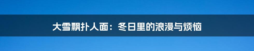 大雪飘扑人面：冬日里的浪漫与烦恼