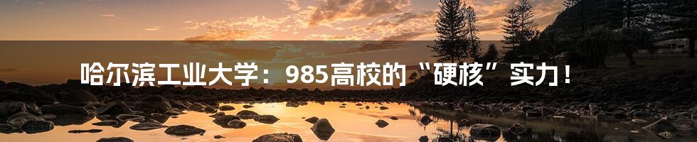 哈尔滨工业大学：985高校的“硬核”实力！