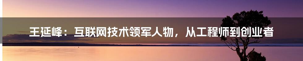 王延峰：互联网技术领军人物，从工程师到创业者