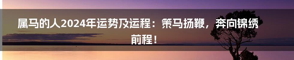 属马的人2024年运势及运程：策马扬鞭，奔向锦绣前程！