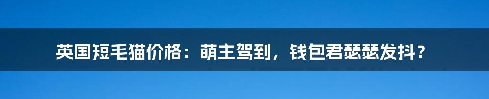 英国短毛猫价格：萌主驾到，钱包君瑟瑟发抖？