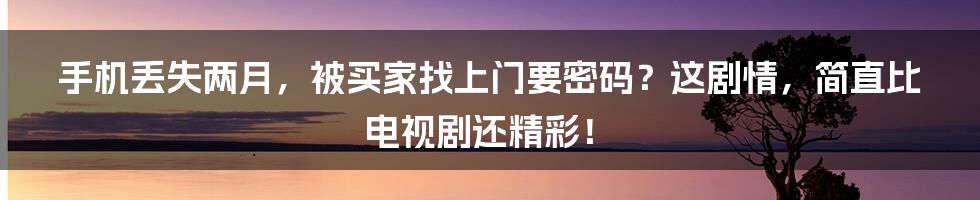 手机丢失两月，被买家找上门要密码？这剧情，简直比电视剧还精彩！