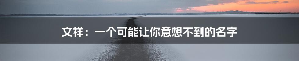 文祥：一个可能让你意想不到的名字