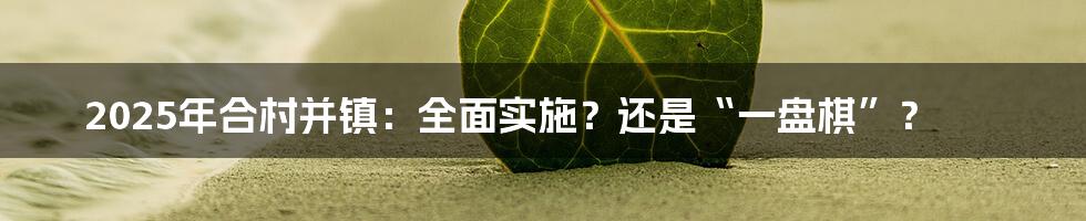 2025年合村并镇：全面实施？还是“一盘棋”？