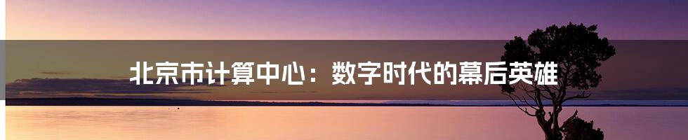 北京市计算中心：数字时代的幕后英雄