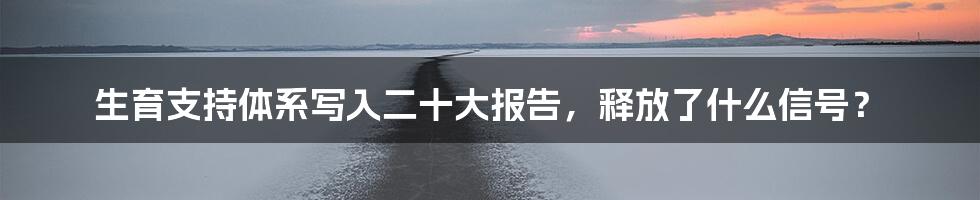 生育支持体系写入二十大报告，释放了什么信号？