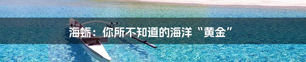 海蛎：你所不知道的海洋“黄金”