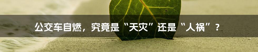 公交车自燃，究竟是“天灾”还是“人祸”？