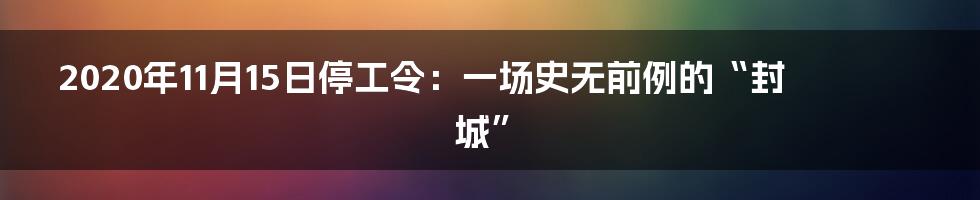 2020年11月15日停工令：一场史无前例的“封城”