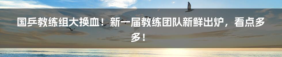 国乒教练组大换血！新一届教练团队新鲜出炉，看点多多！